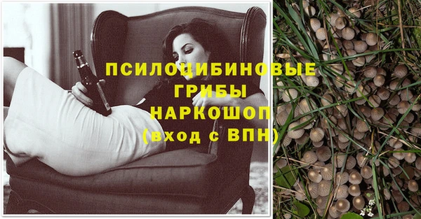 spice Балабаново
